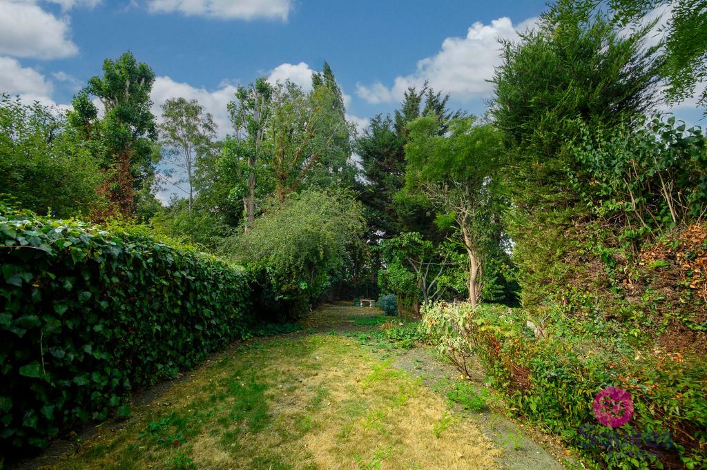 Garden view, garden