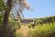 Coed Leddyn, Caerphilly photo 4