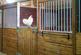 Great Green, Diss, IP21 4 photo 2
