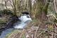 Cellan, Lampeter photo 4