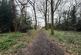Guardsman Close,, Warley, CM14 photo 4