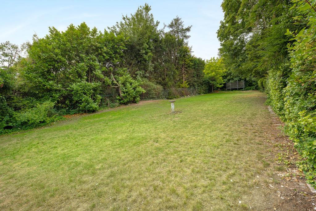 Garden view, garden