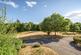 Fruitfields Close, Devizes photo 2