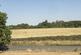 Walden Cottages, Normandy, Surrey, GU3 photo 2