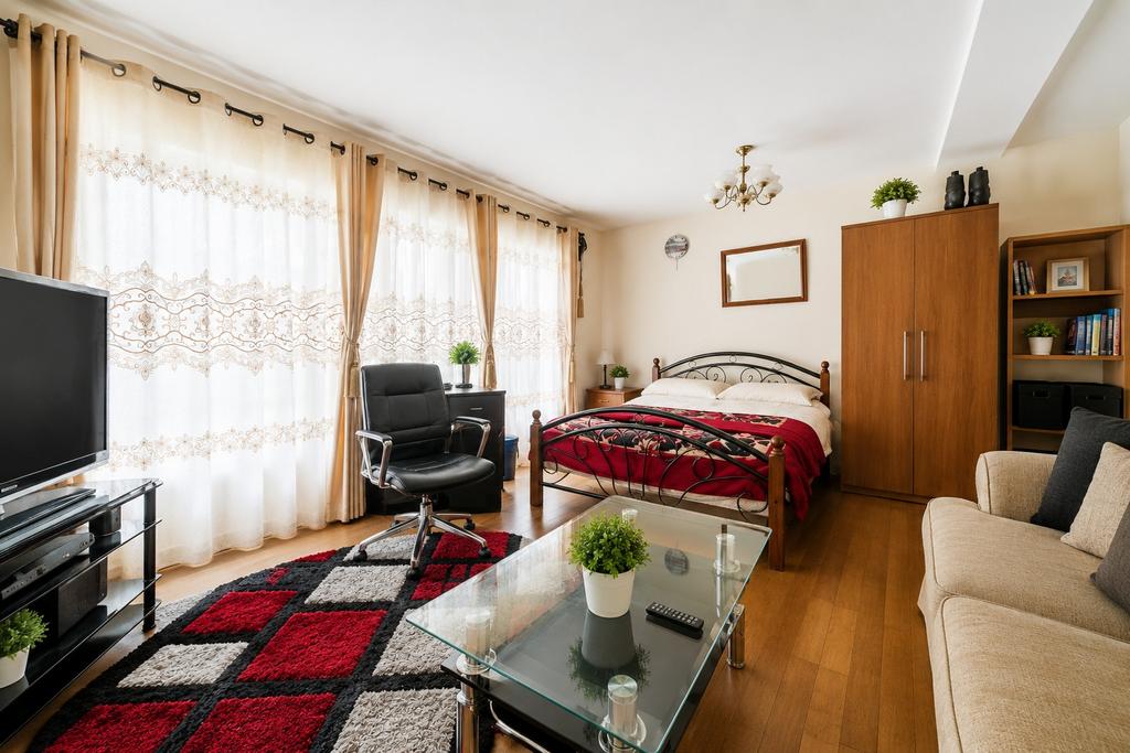 Studio apartment interior