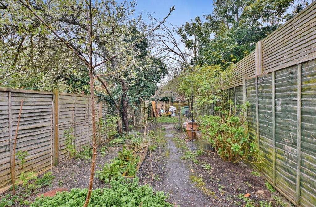 Garden view, garden