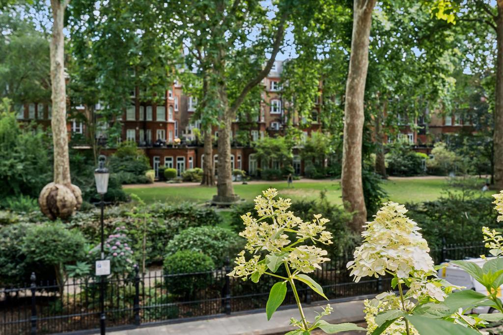 Communal garden, garden