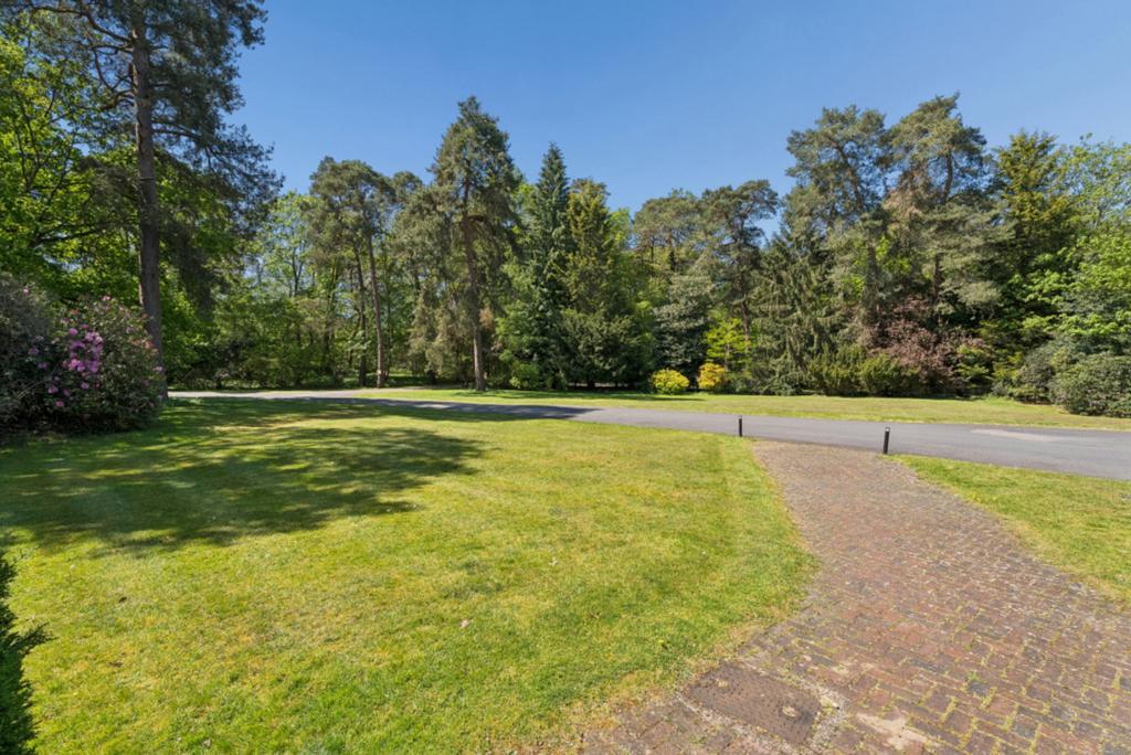 Garden view, garden