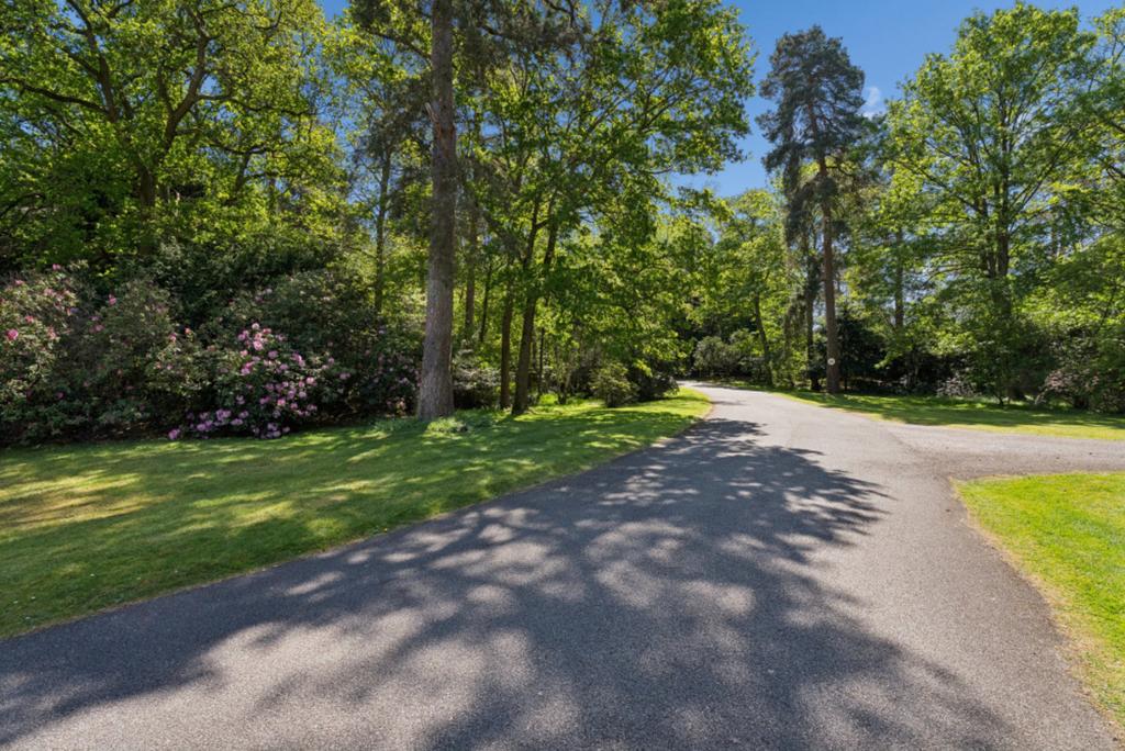 Driveway view, driveway