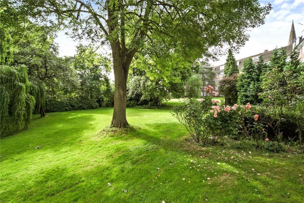 Garden view, garden