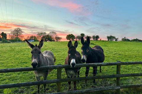 9 bedroom equestrian property for sale, Gibbs Lane, Siston, Bristol