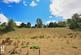 Winslow, Bromyard HR7 4LS photo 4