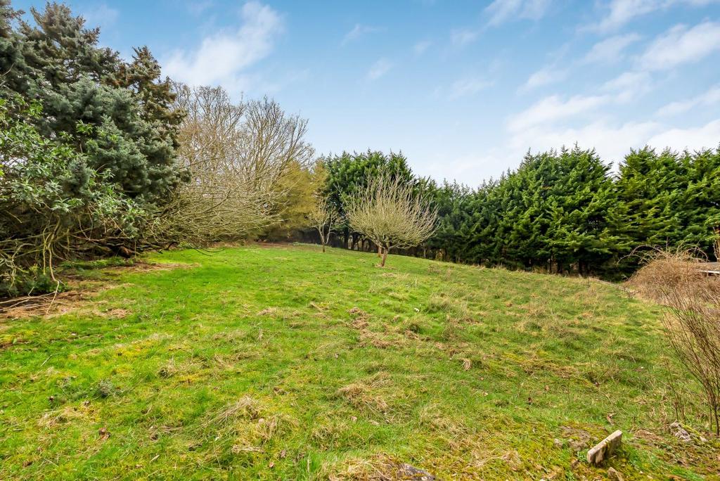 Garden view, garden