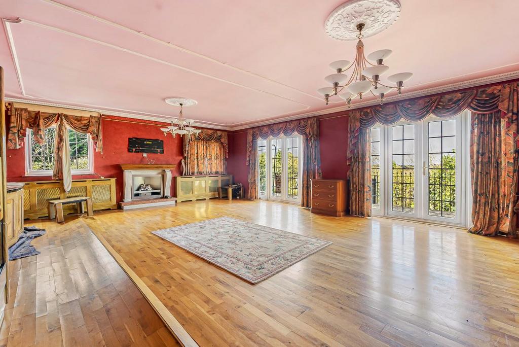 Reception room, fireplace