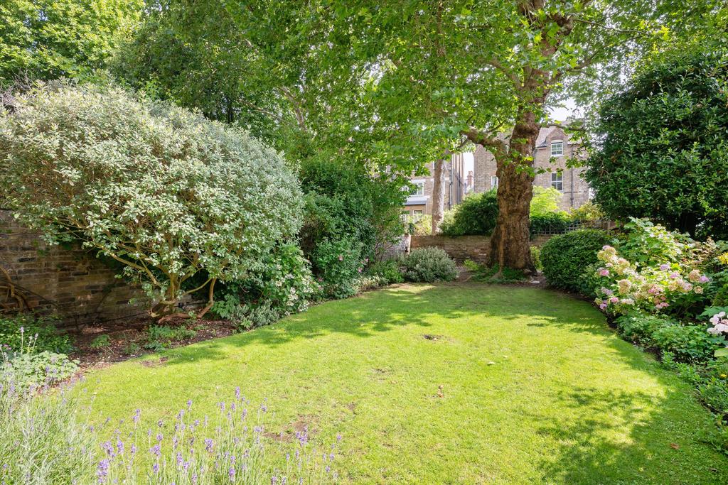 Garden view, garden
