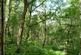 Frimley Copse, Frimley Green, Surrey GU16