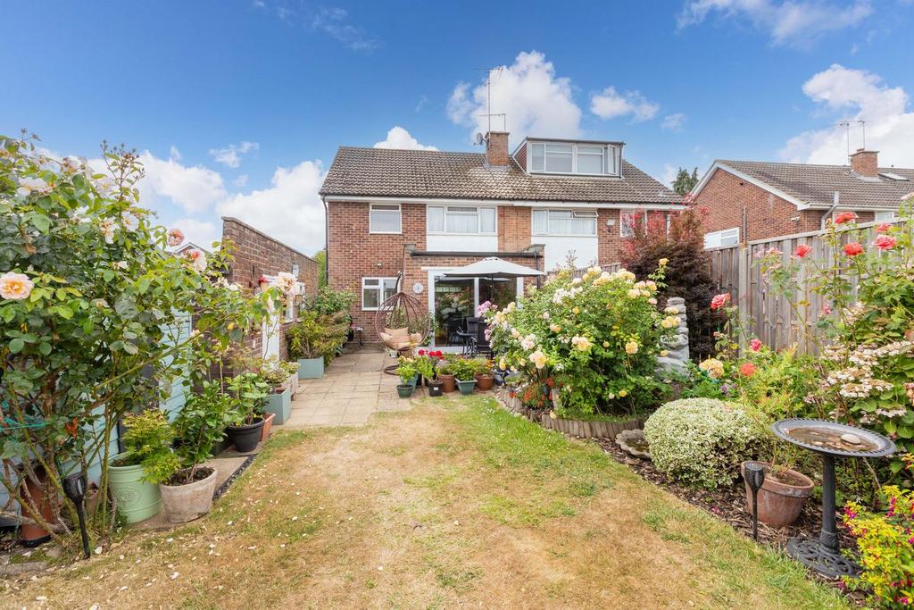 Garden view, garden