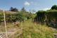 Deans Lane, Sandbach photo 3