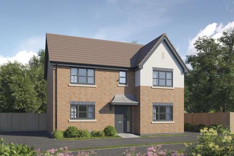 undefined, The Allium at Yew Tree Meadows, Yew Tree Meadows, Gipsy Lane CV11
