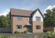 The Allium at Yew Tree Meadows, Yew Tree Meadows, Gipsy Lane CV11