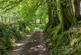 Exmoor National Park, Lynton, Devon, EX35 photo 4