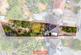Ham Lane, Stourbridge, West Midlands, DY9
