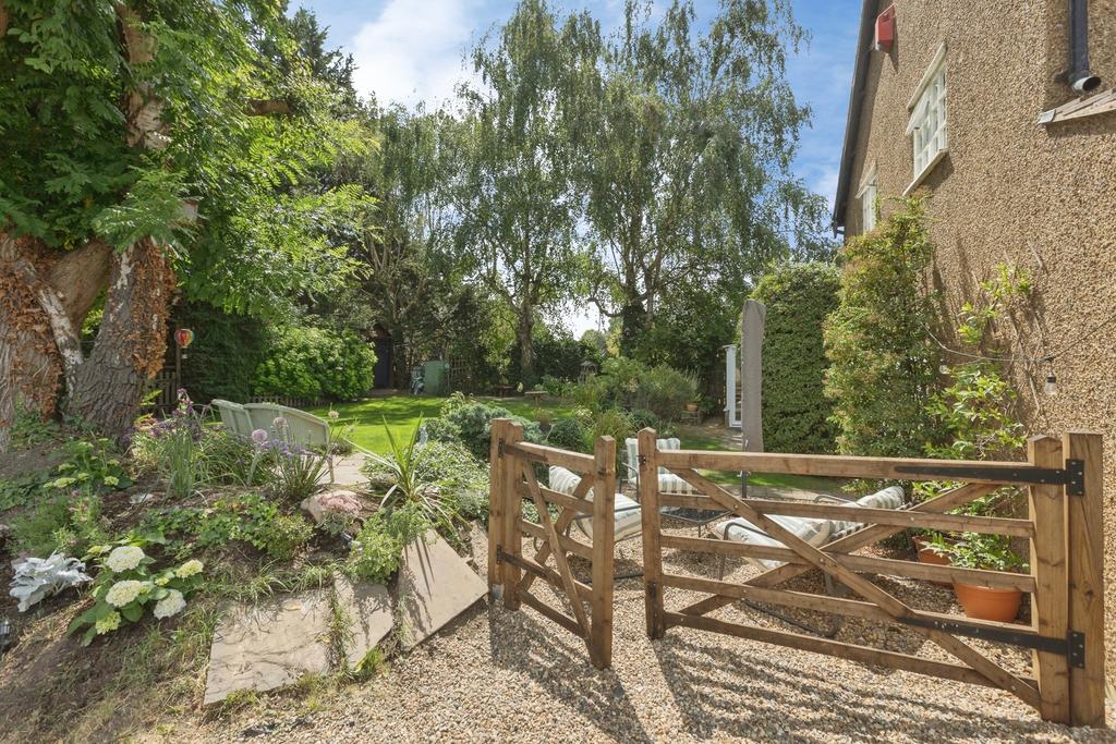 Garden view, garden