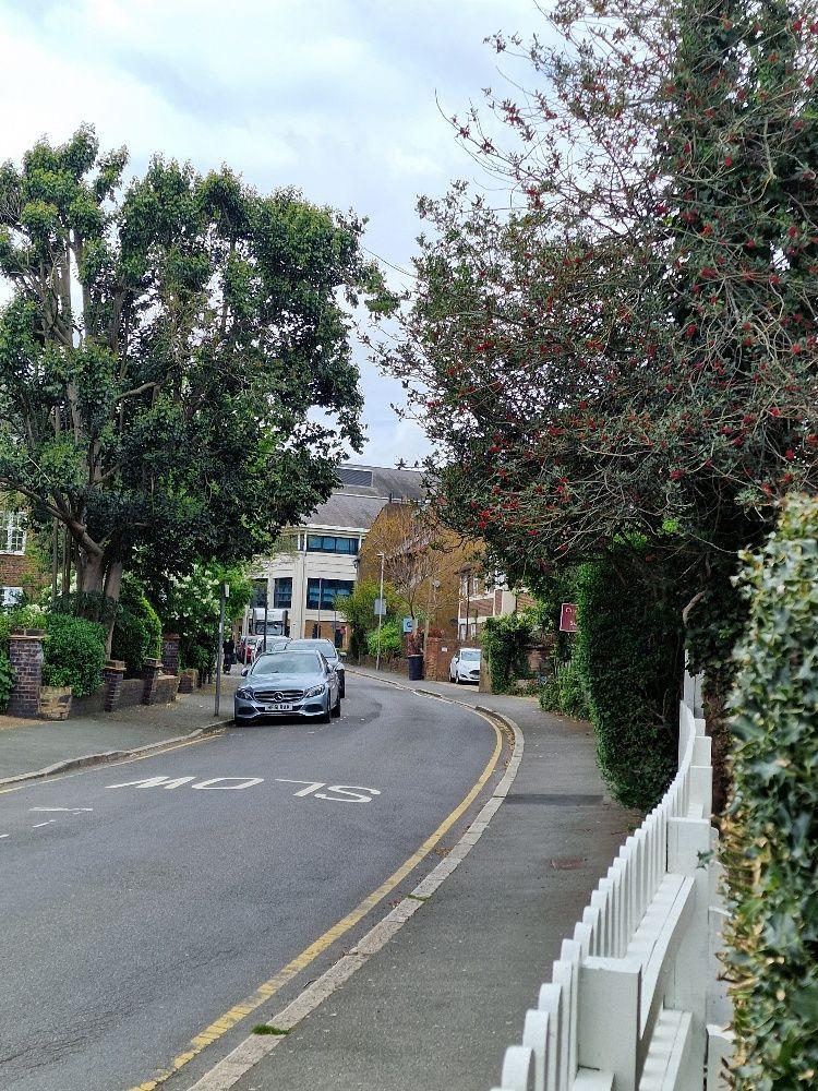 Street scene with property