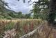 Betws Y Coed photo 2