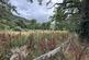 Betws Y Coed photo 3