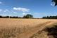 Collops Road, Stebbing, Dunmow photo 4
