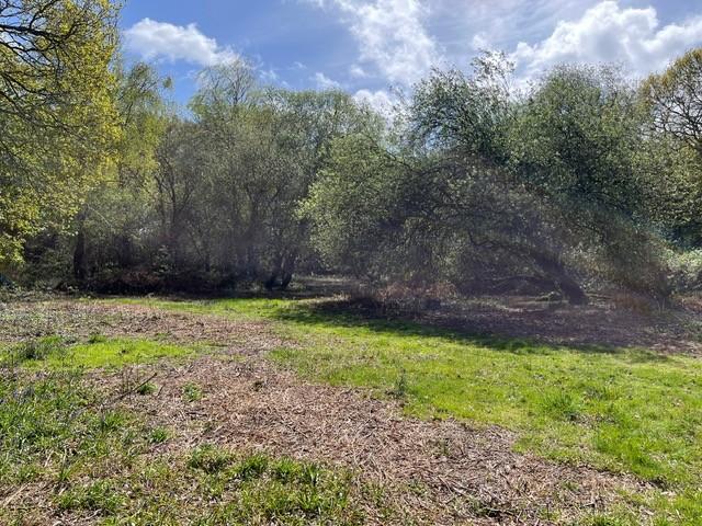 Havant Road, Hayling Island - More