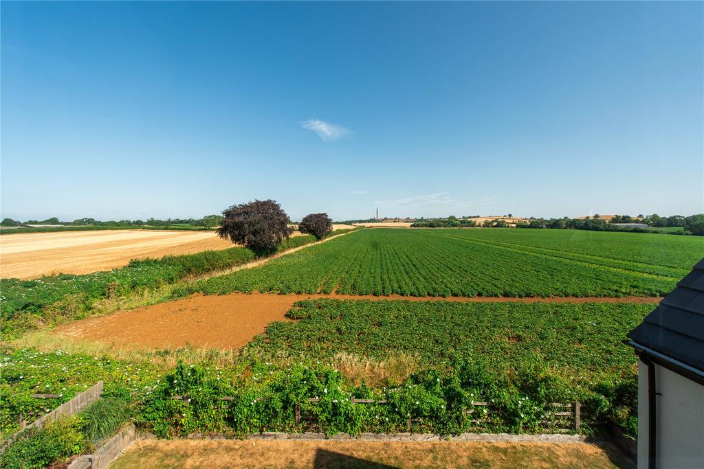 Views Over Fields