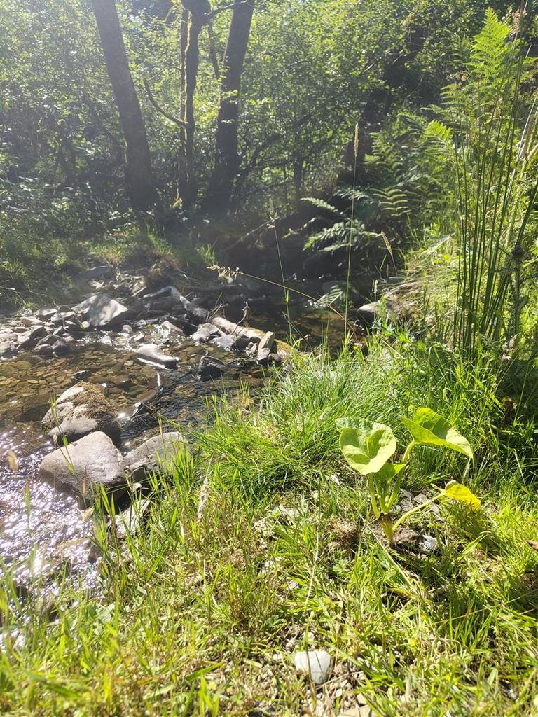 Land lying to the North of Nant Ceiliog - View 2