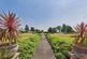 Hayes Road, Sully, CF64 photo 2