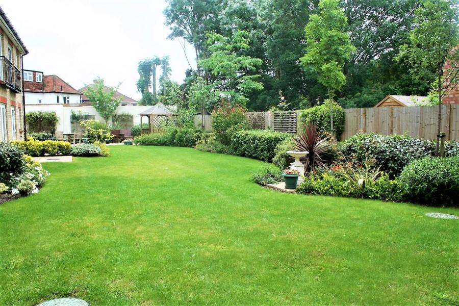 Garden view, garden