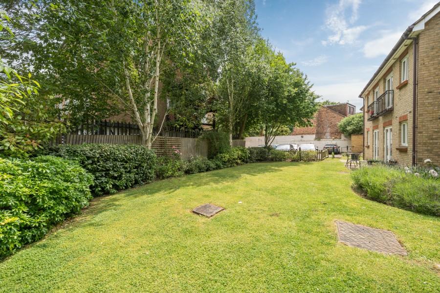 Garden view, garden