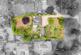 Langley Upper Green, Saffron Walden, CB11 photo 4