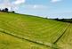 Pisgah, Aberystwyth photo 5