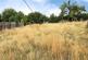 Sweyne Garth, Goole DN14 photo 4