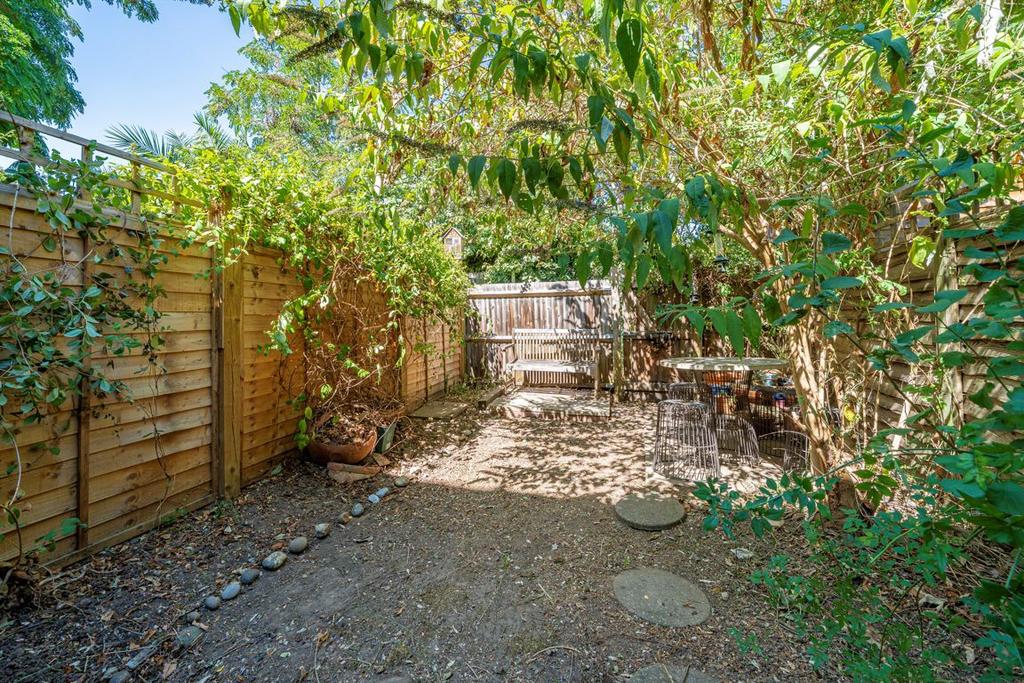Garden view, garden