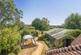 Maynards Green, Heathfield photo 2