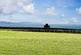 Whithorn DG8 photo 3