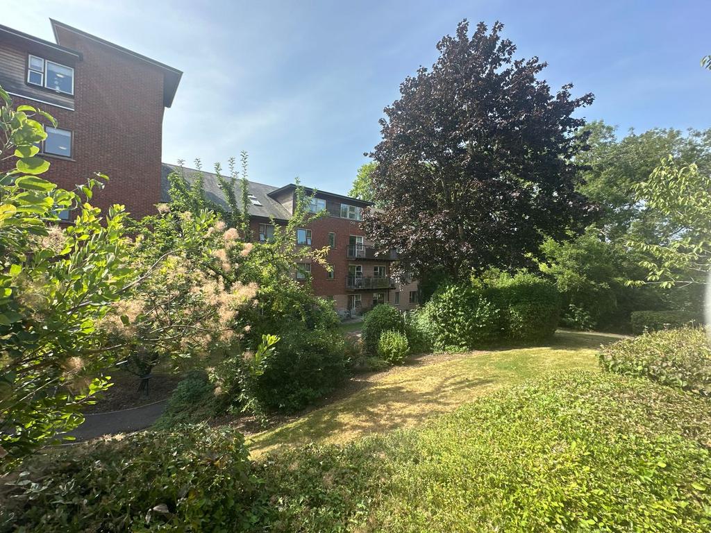 Garden view, garden