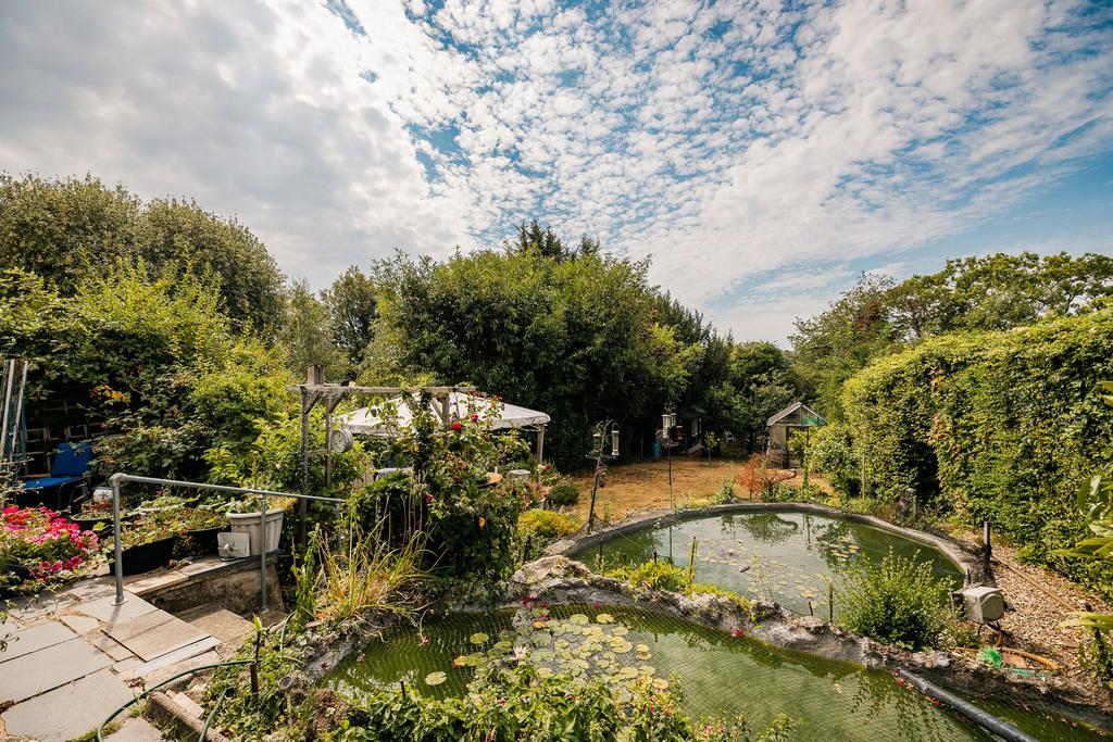 Garden view, garden