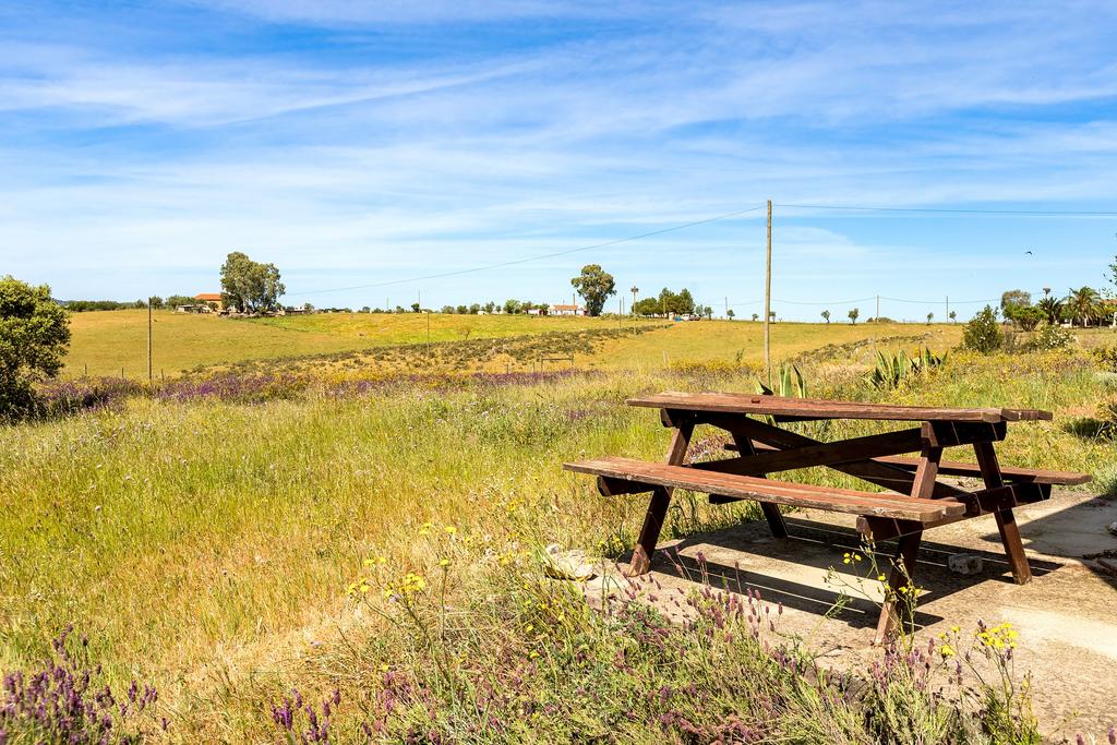 Garden view, garden