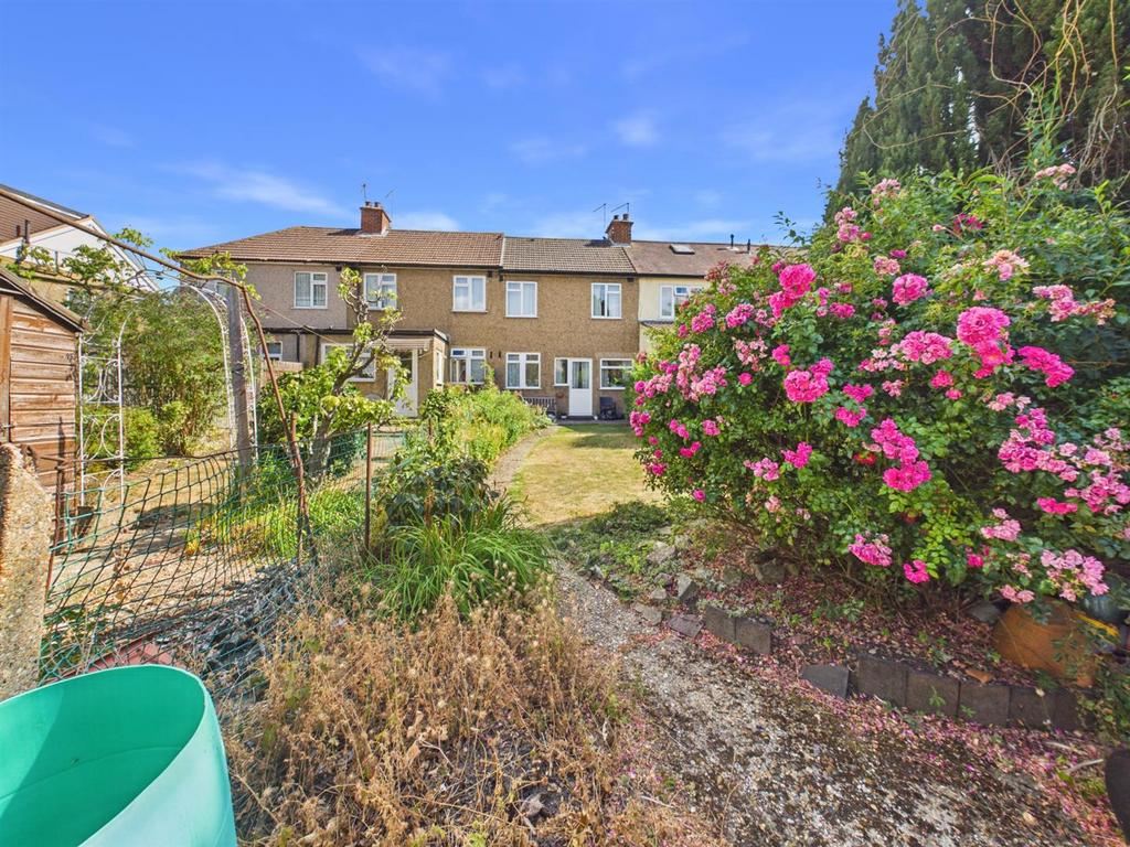 Garden view, garden