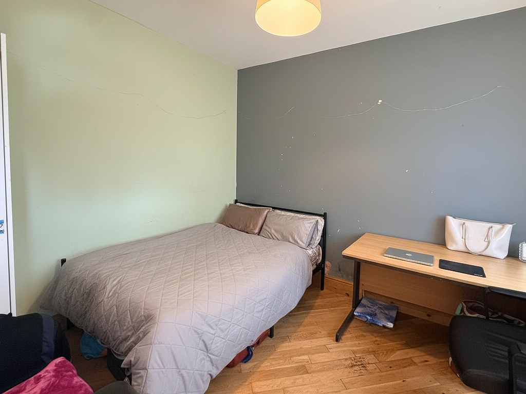 House in Cardiff, Tredegarville, Roath - View 3