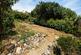 Exeter Road, Dawlish EX7 photo 4