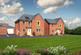 Rowan at Silkin Meadows Queensway, Apley, Telford TF1